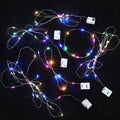 Led Lights Coloured  2Mtrs