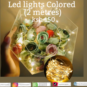 LED Lights Colored – 2 Metres