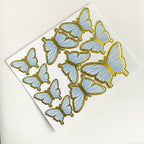 Coloured Butterflies