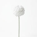 Pompom Flower  White