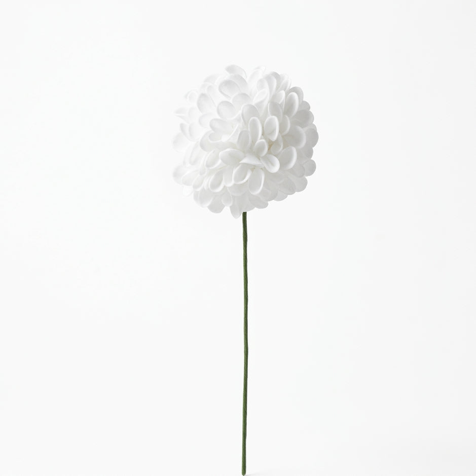 Pompom Flower  White