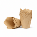 Tulip Light brown Cases 50Pcs (15X15Cm) | Muffins