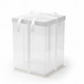 12" Square Pvc White Transparent Box
