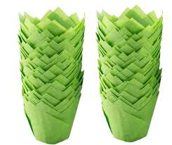 Tulip Cupcake Cases – Elegant Muffin & Cupcake Liners for Baking & Display
