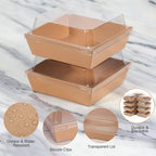 Brown dessert  Containers