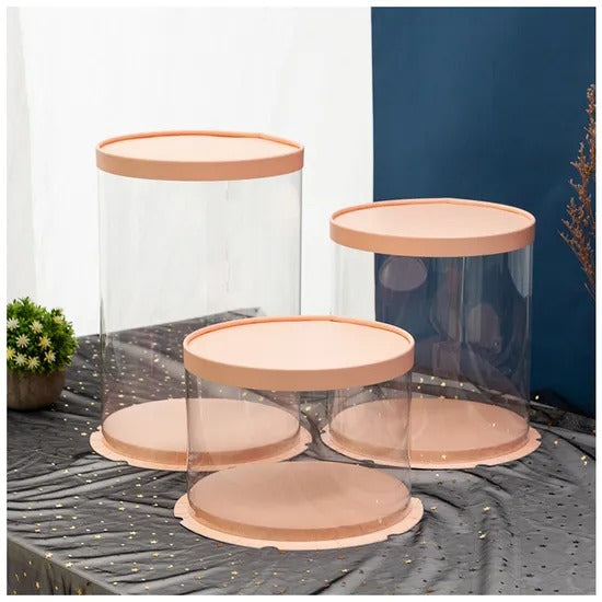 Transparent  Pvc Cake Boxes
