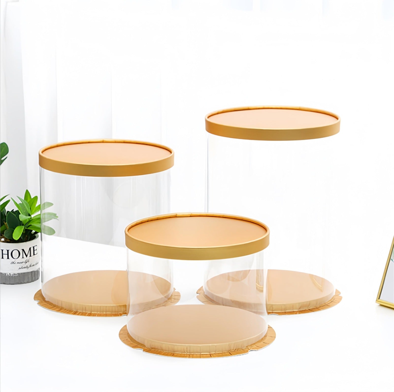 Transparent  Pvc Cake Boxes
