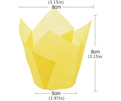 Tulip Cupcake Cases – Elegant Muffin & Cupcake Liners for Baking & Display